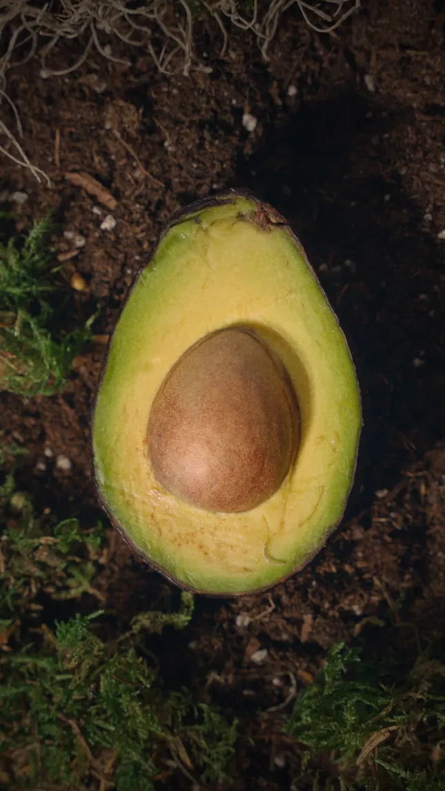AGA NATURE PRODUCT VIDEOGRAPHY
