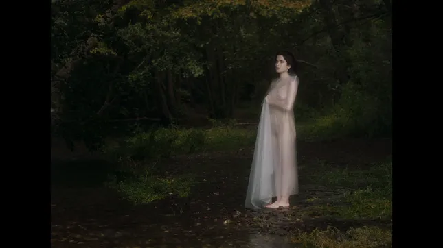 Diary of Hidden Bodies
