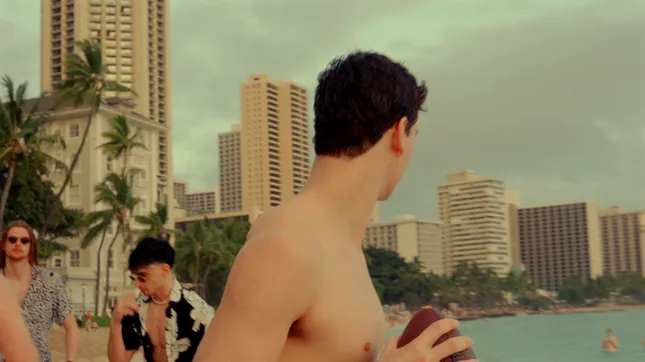 Trip taken to Hawaii with Lewis Men’s Volleyball Team