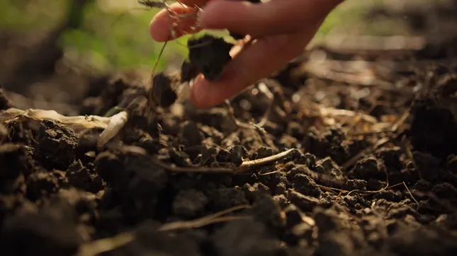 Sampl Tasting Notes Documentary - Drone Operator