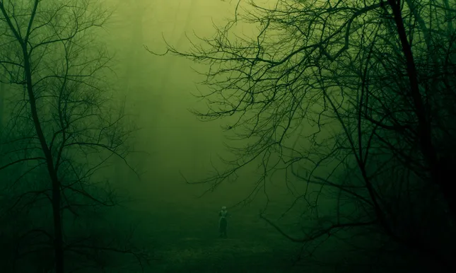 The Veil