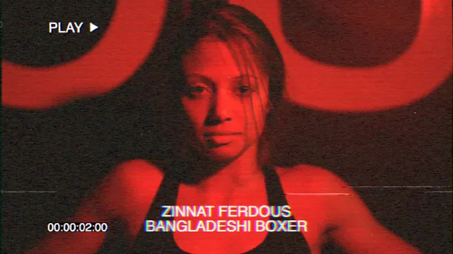 Zinnat Boxing Spec
