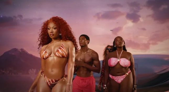 Megan the stallion x Walmart