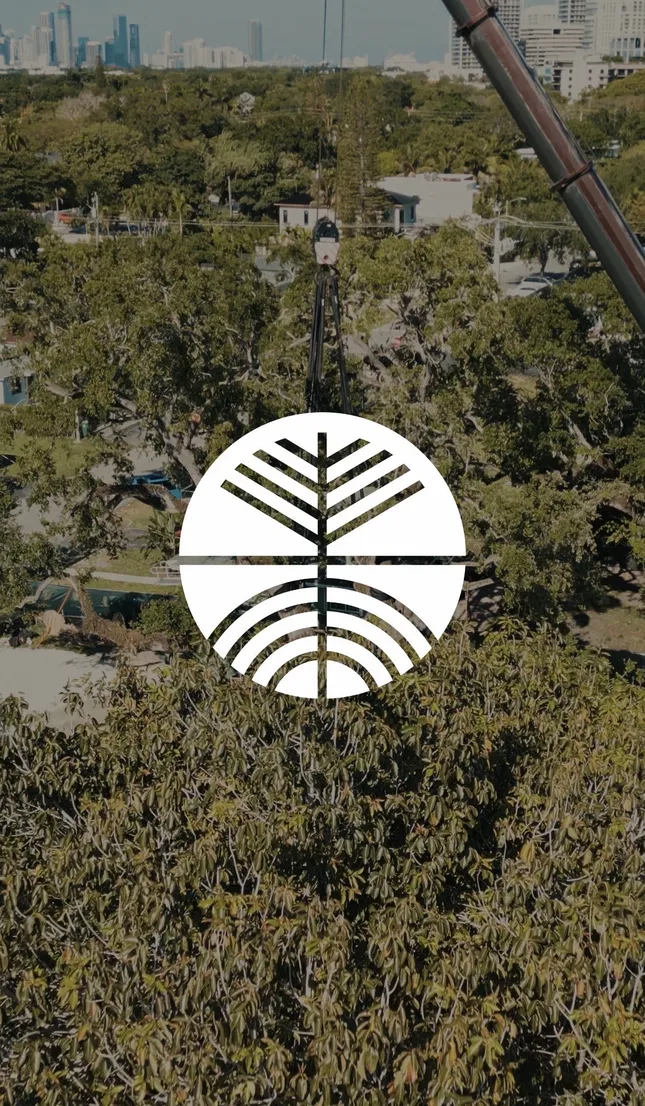 TreeSources LLC | Company Promo