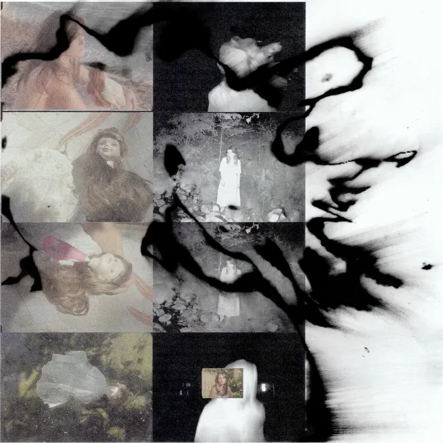 mer marcum - You Never Did Anything Wrong