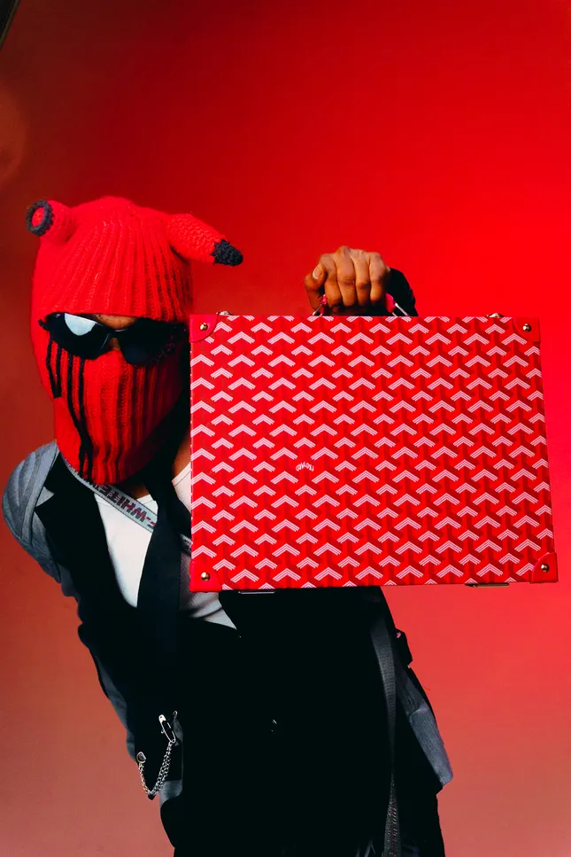 Project image
