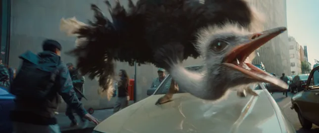 o2 - Ostrich