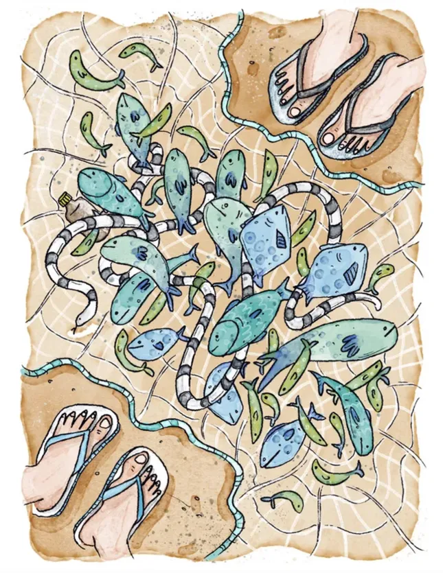 Magazine art for Current Conservation