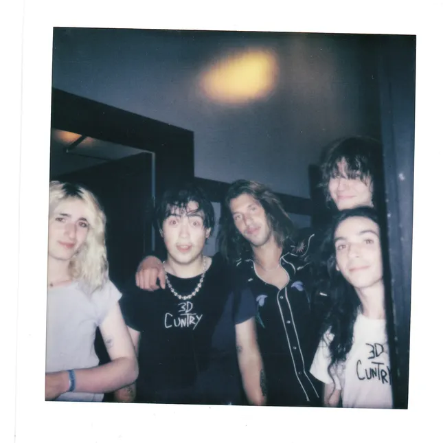 geese on polaroid