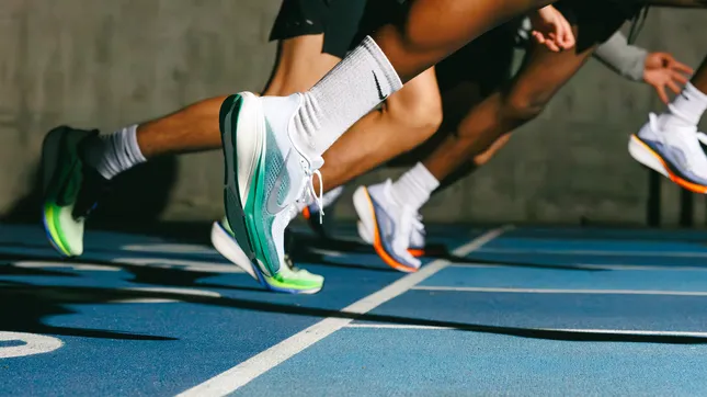 Nike Pegasus x UCLA
