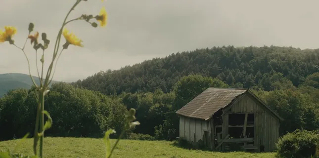 As you like it
