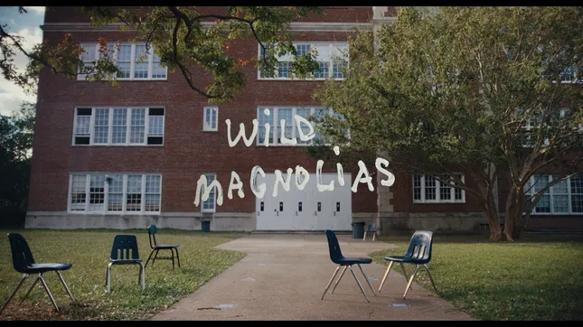 Wild Magnolias