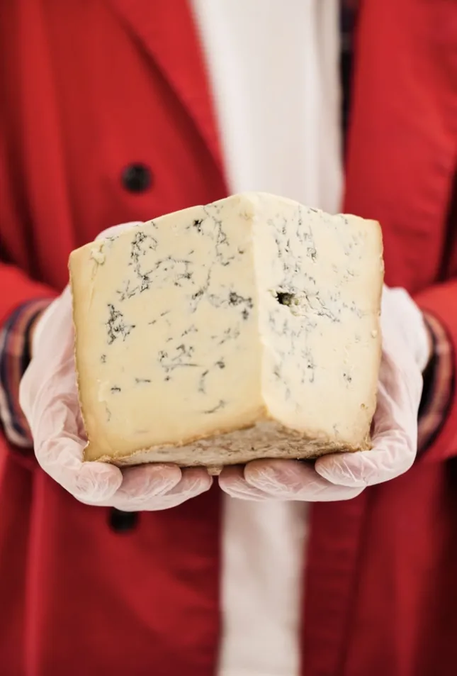 Murray’s Cheese Spring Ad Campaign