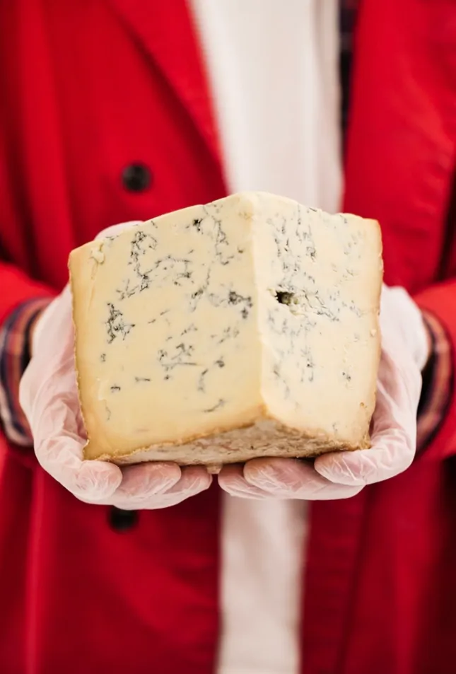 Murray’s Cheese Spring Ad Campaign