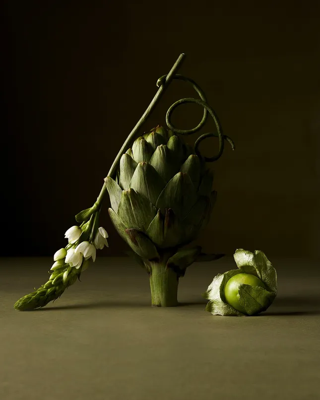 Still Life