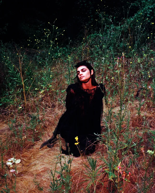 Into the woods