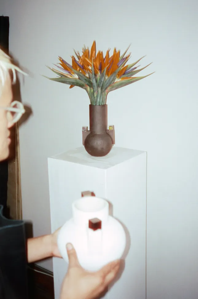 Project image