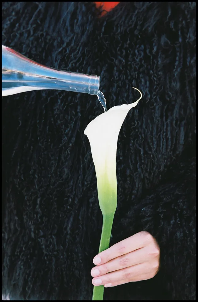 Project image