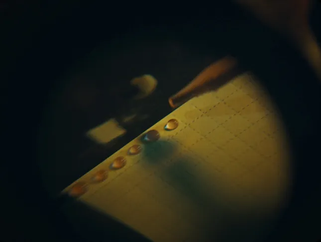 Project image