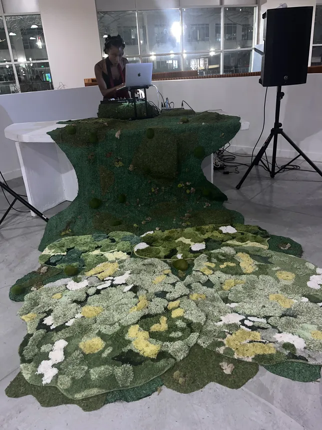 Project image