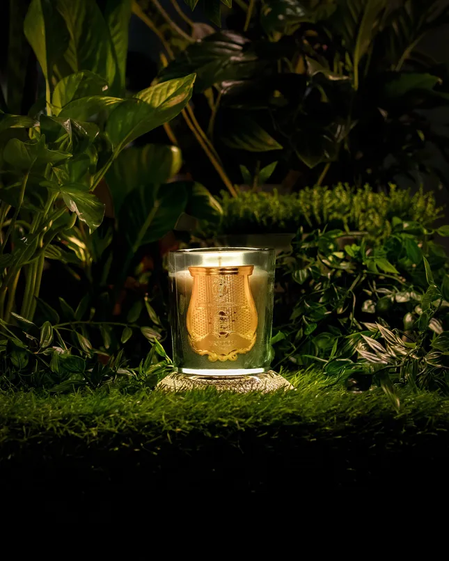 Trudon