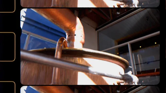 Wasatch Brewing