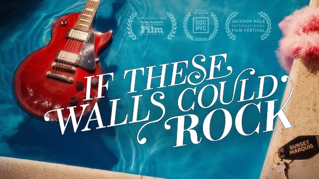 IF THESE WALLS COULD ROCK