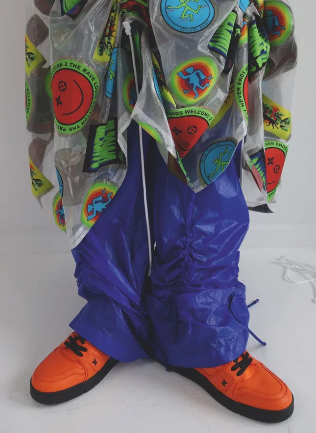 Project image