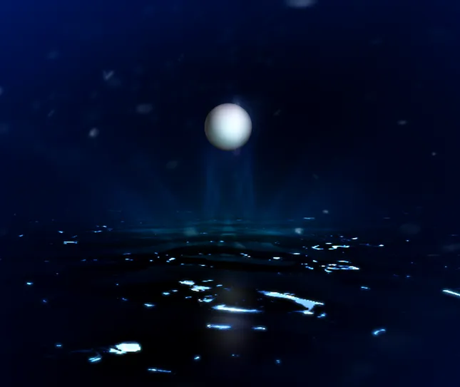 Project image