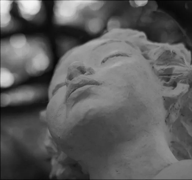 freedom. - Alessandra Puppola