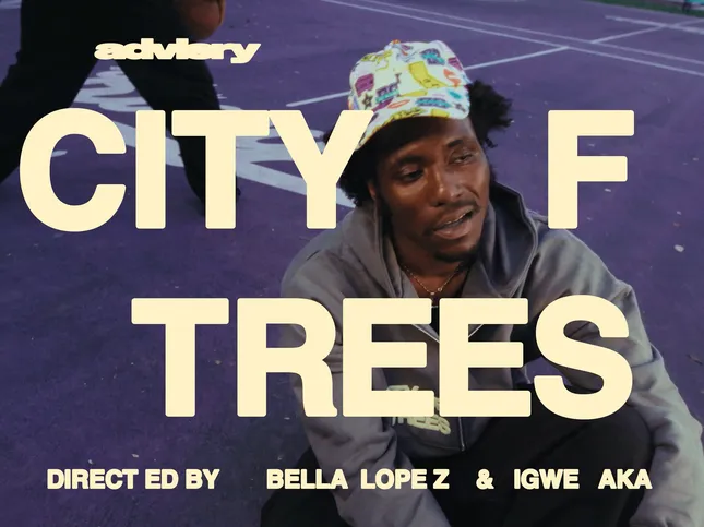 Sacramento Kings x Advisry