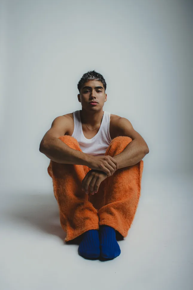 Achr campaign mohair shorts