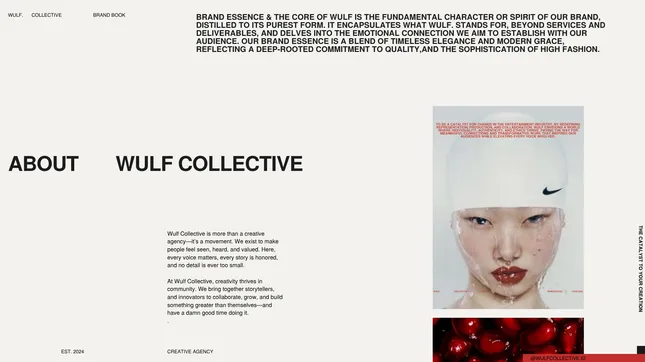 Project image