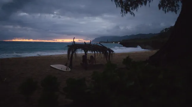 Maui Jim