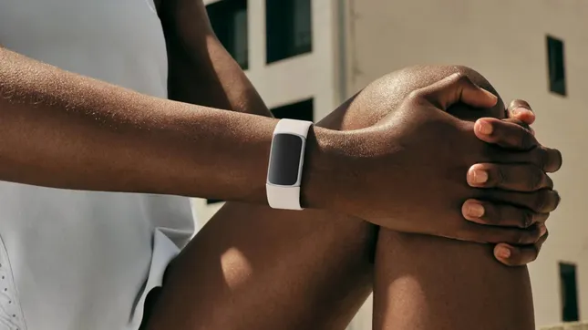 Google FitBit