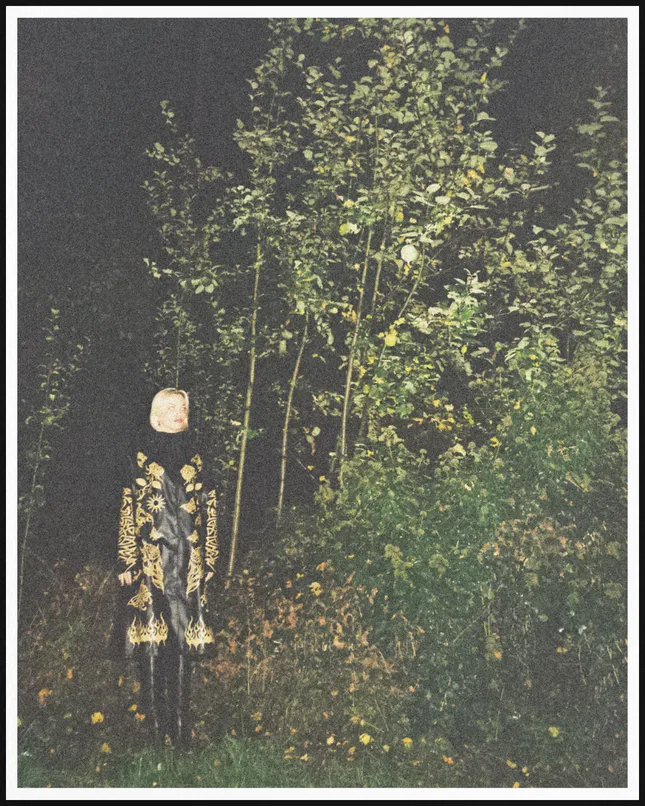 Project image