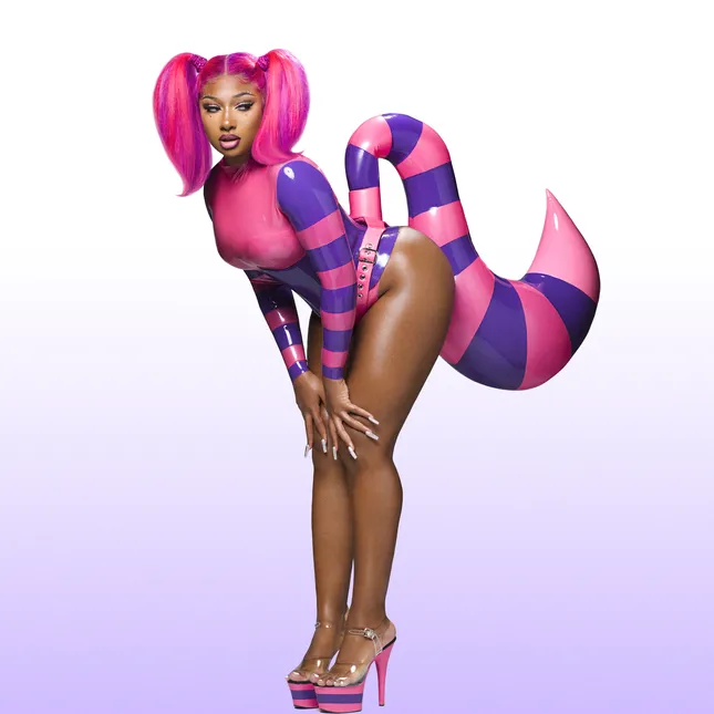 MeganTheeStallion - DON'T STOP