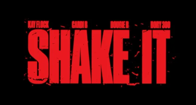 Kay Flock x Cardi B - Shake It