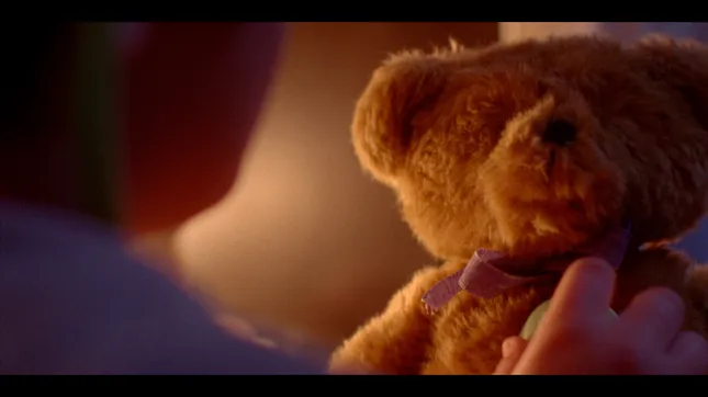 Boy and the Bear