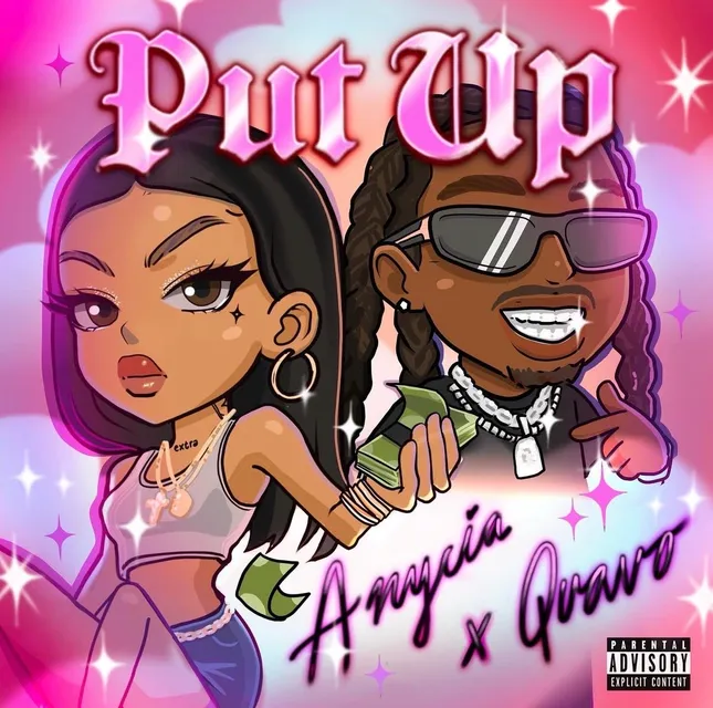 Put Up - Anycia ft. Quavo