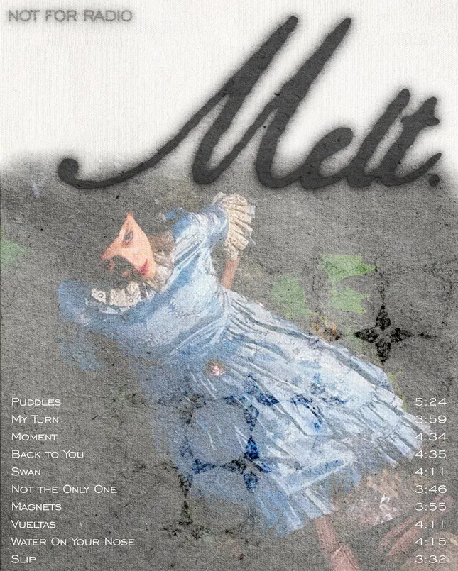 Melt - Not For Radio Poster Concept
