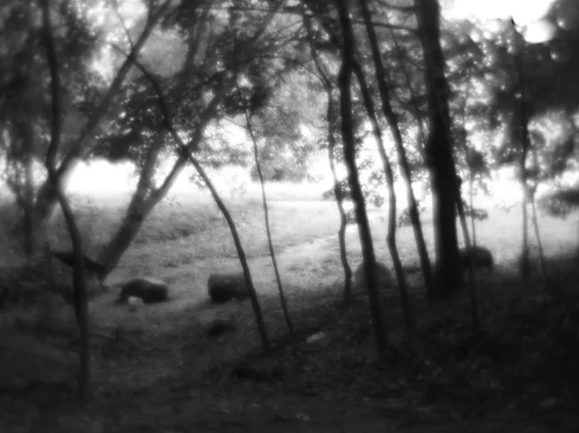 Project image