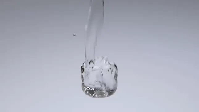 EVIAN particle simulation