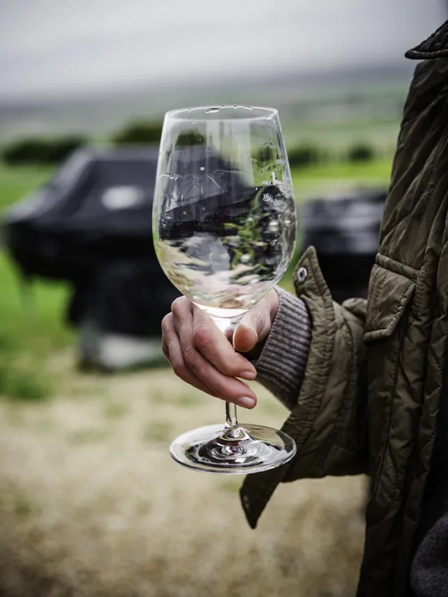 Santa Lucia Highlands