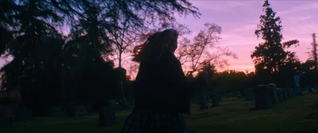 Grey Goose - Sacramental
