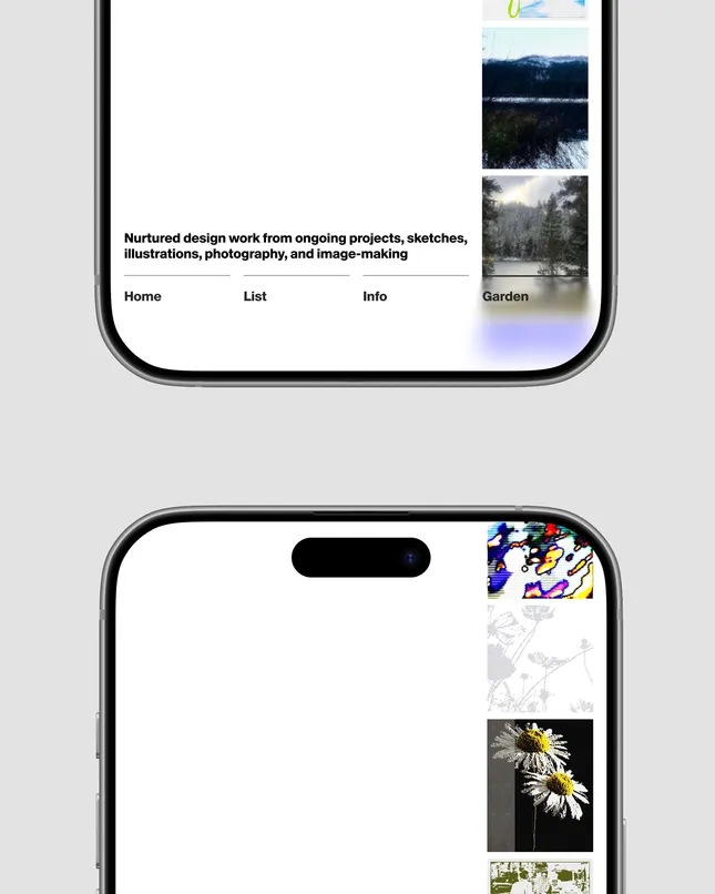 Project image