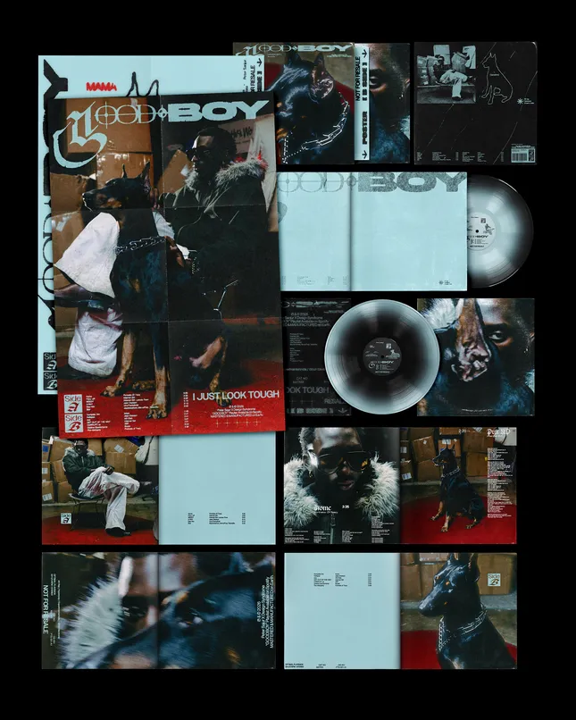 Project image