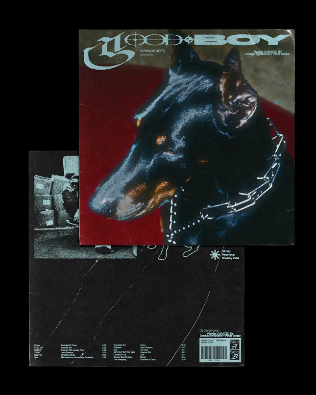 Project image