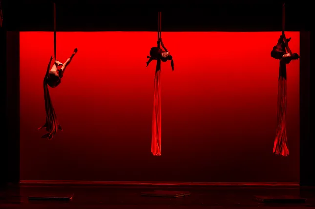 Wildflower Aerials - Lobero Theatre