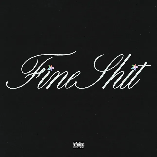 Fine Shit Cover